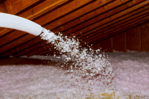 Best Insulation Inspection Services  in Oceanside, CA