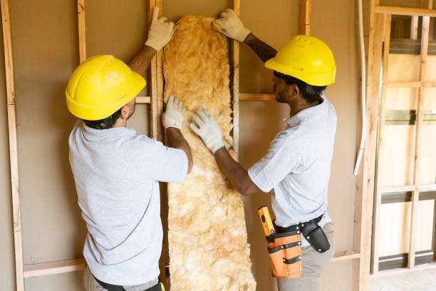 Best Insulation Contractors for Homes  in Oceanside, CA